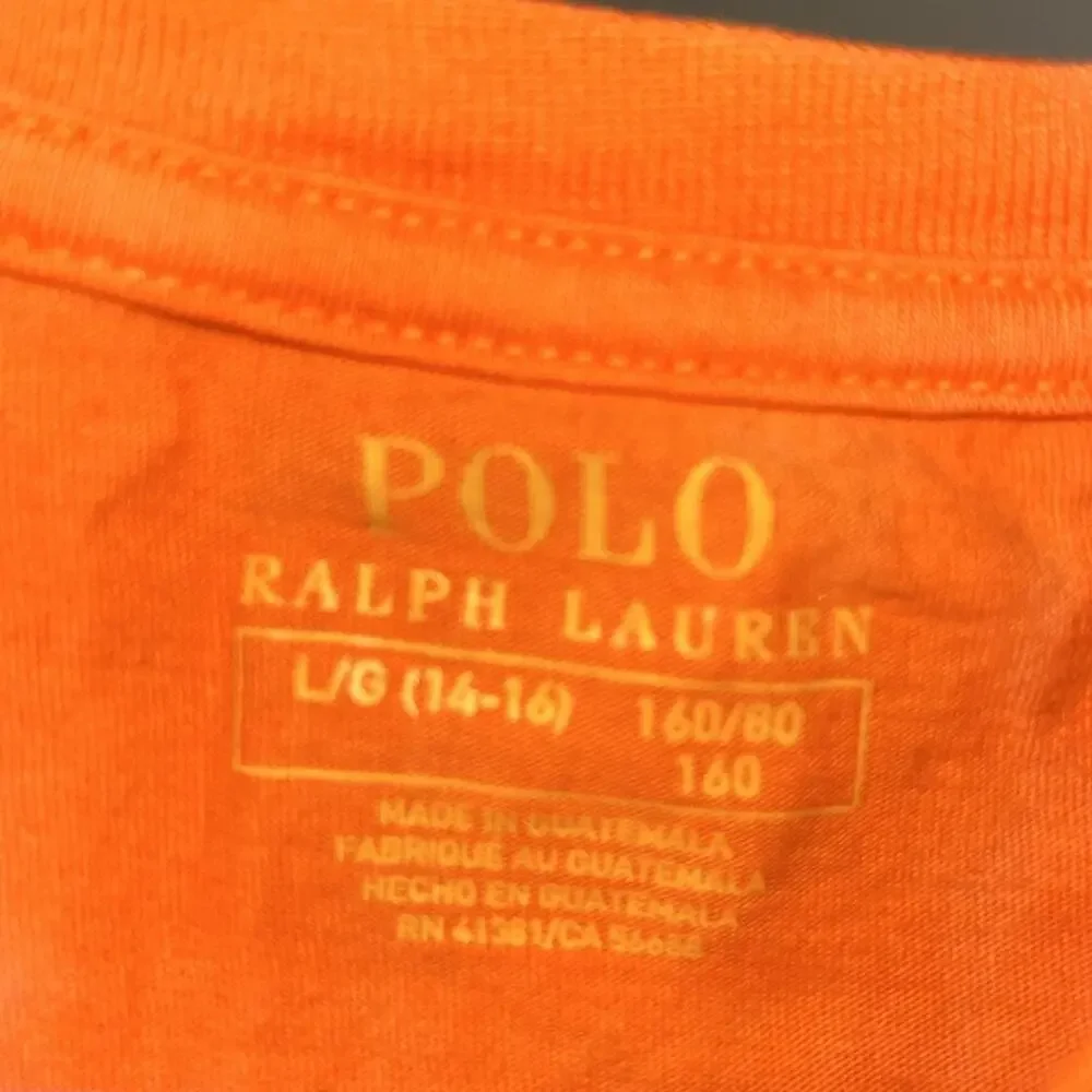 Ralph Lauren Kids' Multicolor Polo Bear T-Shirt